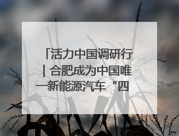 活力中国调研行｜合肥成为中国唯一新能源汽车“四试点”城市