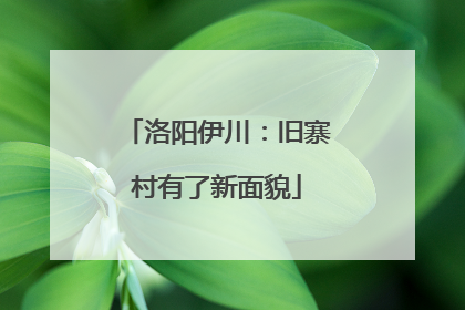 洛阳伊川：旧寨村有了新面貌