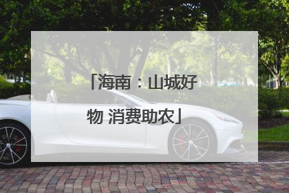 海南：山城好物 消费助农