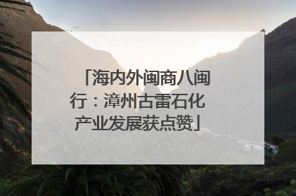 海内外闽商八闽行：漳州古雷石化产业发展获点赞