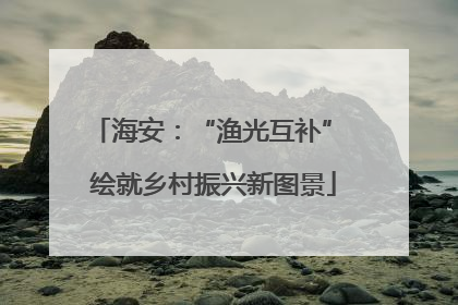 海安：“渔光互补” 绘就乡村振兴新图景