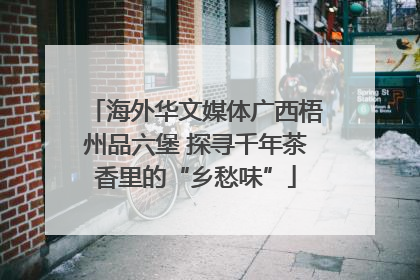 海外华文媒体广西梧州品六堡 探寻千年茶香里的“乡愁味”