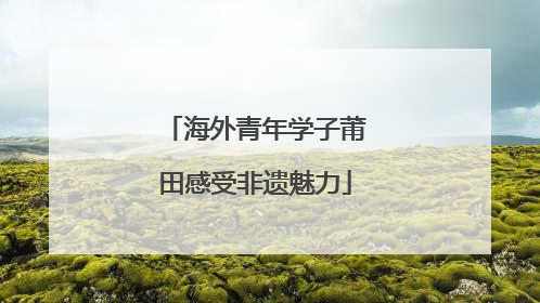海外青年学子莆田感受非遗魅力