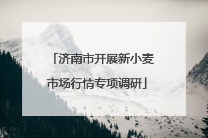 济南市开展新小麦市场行情专项调研