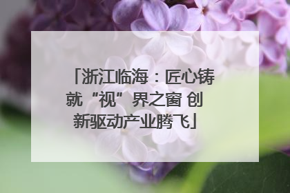 浙江临海：匠心铸就“视”界之窗 创新驱动产业腾飞