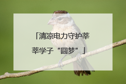 清凉电力守护莘莘学子“圆梦”