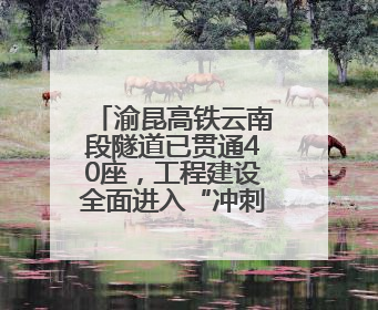 渝昆高铁云南段隧道已贯通40座，工程建设全面进入“冲刺模式”
