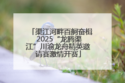 渠江河畔百舸奋楫 2025“龙腾渠江”川渝龙舟精英邀请赛激情开赛