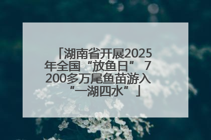 湖南省开展2025年全国“放鱼日” 7200多万尾鱼苗游入“一湖四水”