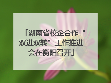 湖南省校企合作“双进双转”工作推进会在衡阳召开