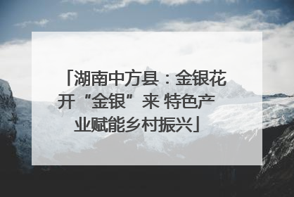 湖南中方县：金银花开“金银”来 特色产业赋能乡村振兴