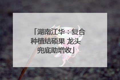 湖南江华：复合种植结硕果 龙头兜底助增收