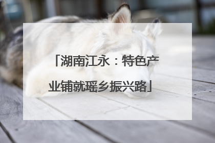 湖南江永：特色产业铺就瑶乡振兴路