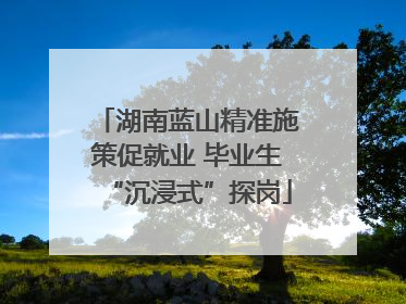 湖南蓝山精准施策促就业 毕业生“沉浸式”探岗