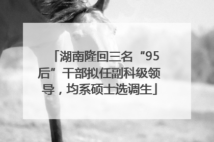 湖南隆回三名“95后”干部拟任副科级领导，均系硕士选调生