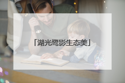 湖光鹭影生态美