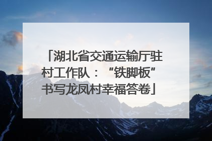 湖北省交通运输厅驻村工作队：“铁脚板”书写龙凤村幸福答卷
