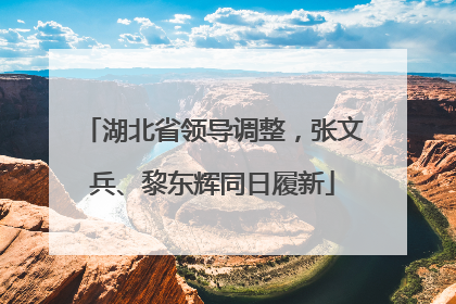湖北省领导调整，张文兵、黎东辉同日履新