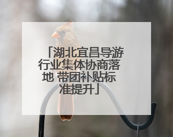 湖北宜昌导游行业集体协商落地 带团补贴标准提升