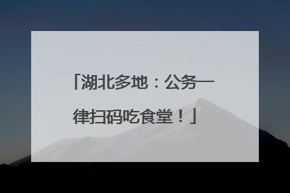 湖北多地：公务一律扫码吃食堂！