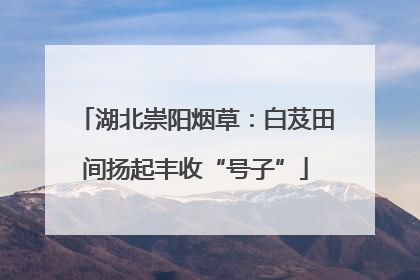 湖北崇阳烟草：白芨田间扬起丰收“号子”