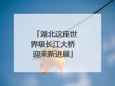 湖北这座世界级长江大桥迎来新进展