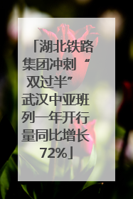 湖北铁路集团冲刺“双过半” 武汉中亚班列一年开行量同比增长72%