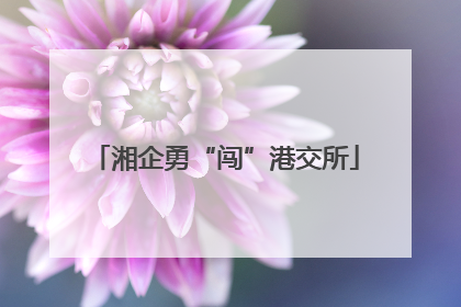 湘企勇“闯”港交所