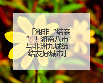 湘非“结亲”！湖南八市与非洲九城缔结友好城市