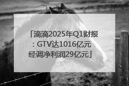 滴滴2025年Q1财报：GTV达1016亿元 经调净利润29亿元