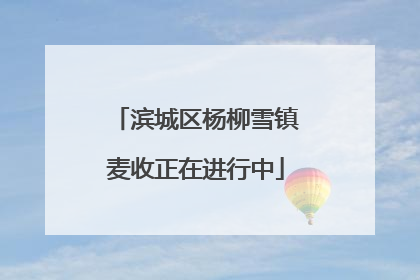 滨城区杨柳雪镇麦收正在进行中