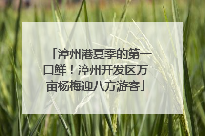 漳州港夏季的第一口鲜！漳州开发区万亩杨梅迎八方游客