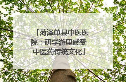 菏泽单县中医医院：研学游里感受中医药传统文化