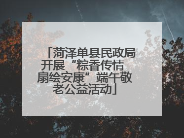 菏泽单县民政局开展“粽香传情 扇绘安康”端午敬老公益活动