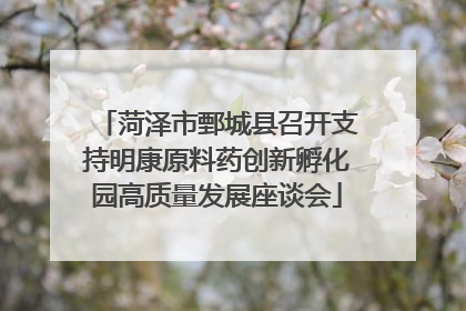 菏泽市鄄城县召开支持明康原料药创新孵化园高质量发展座谈会