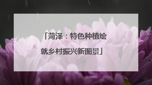 菏泽：特色种植绘就乡村振兴新图景