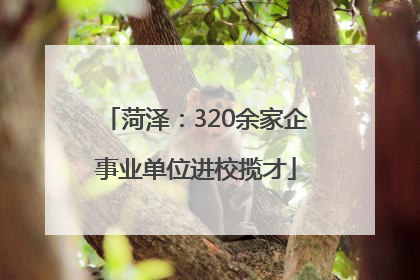 菏泽：320余家企事业单位进校揽才