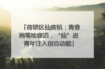 荷塘区仙庾镇：青春画笔绘廊道，“仙”进青年注入创意动能