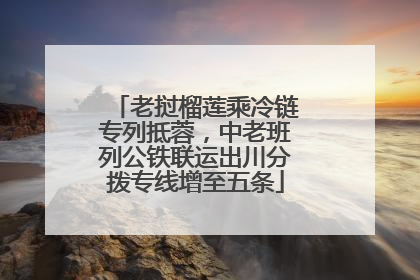 老挝榴莲乘冷链专列抵蓉，中老班列公铁联运出川分拨专线增至五条