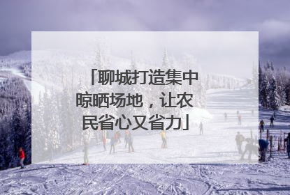 聊城打造集中晾晒场地，让农民省心又省力