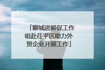 聊城进解促工作组赴茌平区助力外贸企业开展工作