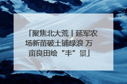 聚焦北大荒丨延军农场新苗破土铺绿浪 万亩良田绘“丰”景