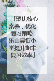 聚焦核心素养，优化复习策略 乐山县街小学提升期末复习效率
