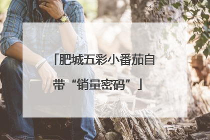 肥城五彩小番茄自带“销量密码”