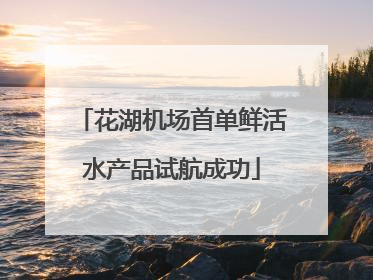花湖机场首单鲜活水产品试航成功