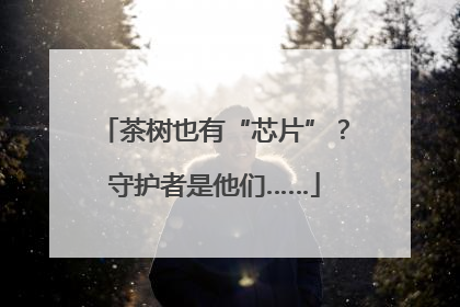 茶树也有“芯片”？守护者是他们……