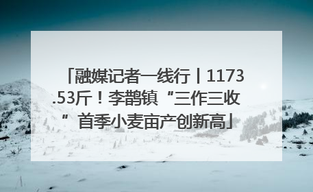 融媒记者一线行丨1173.53斤！李鹊镇“三作三收”首季小麦亩产创新高