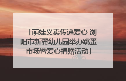 萌娃义卖传递爱心 浏阳市新翼幼儿园举办跳蚤市场暨爱心捐赠活动