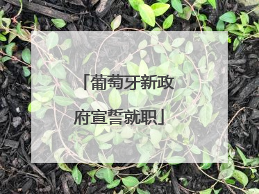 葡萄牙新政府宣誓就职