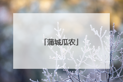 蒲城瓜农